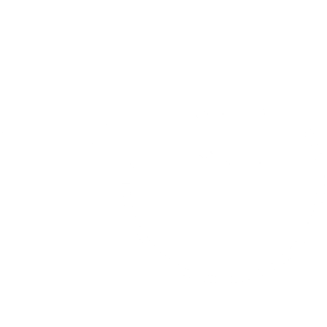 ENDOSCOPIC TOOLS ICON